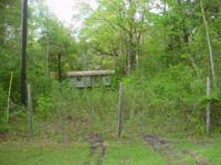DSC01666