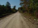 Wingfield